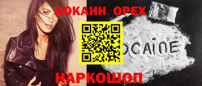 прущие грибы Будённовск
