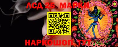 прущие грибы Будённовск