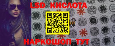 прущие грибы Будённовск
